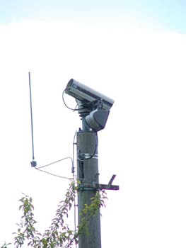 P7030043